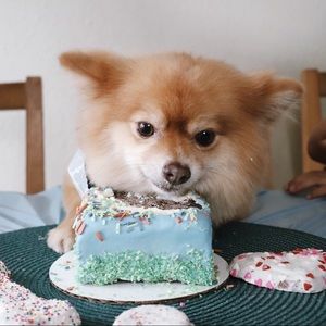 WAFFLES WEEKLY 🎂 1/16